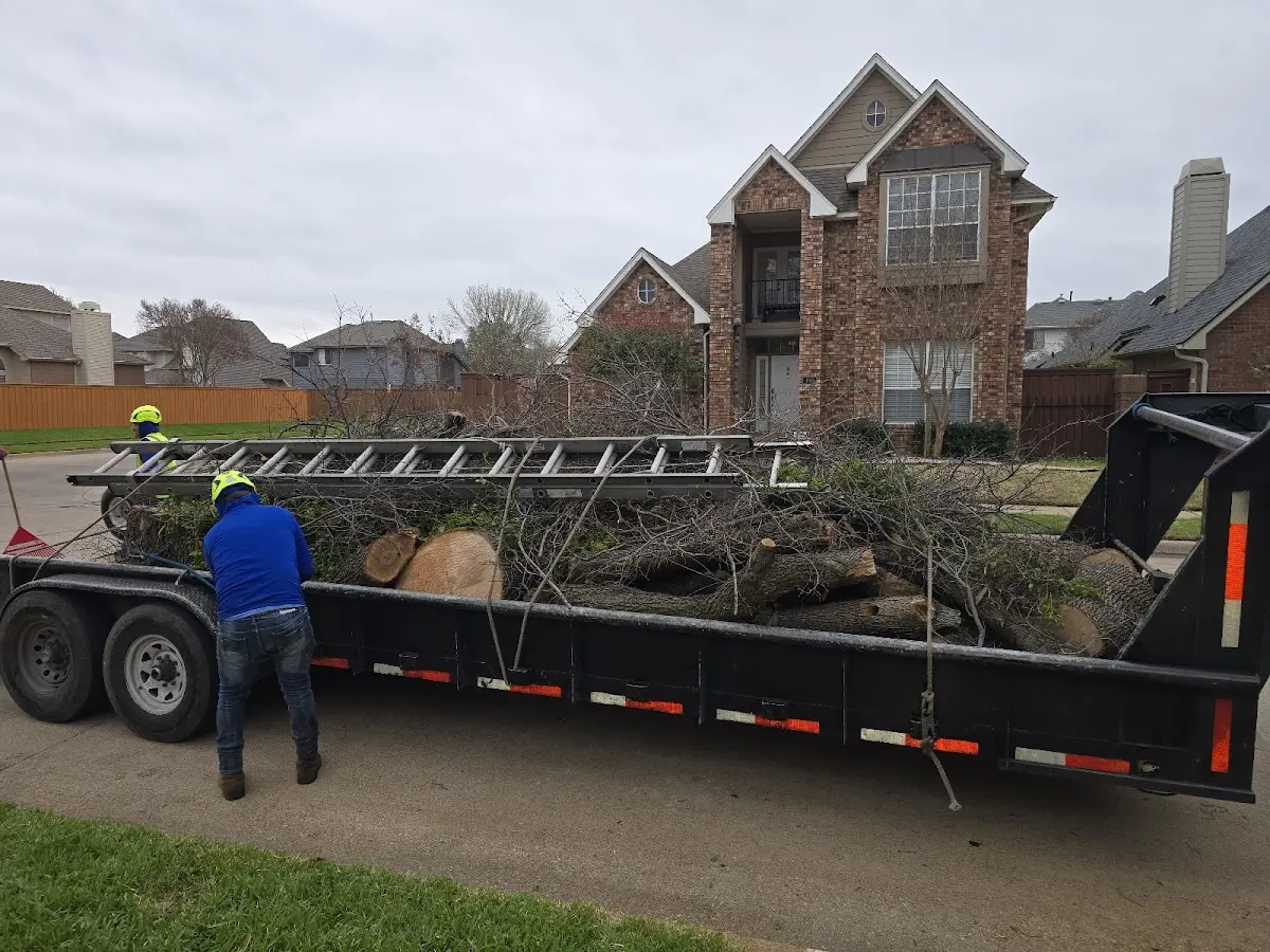 Expert Tree Fertilization with proper safety equipment in Century